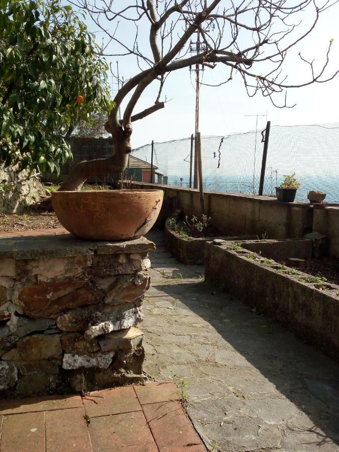 Ferienwohnung Casa Picasso Genua Exterior foto