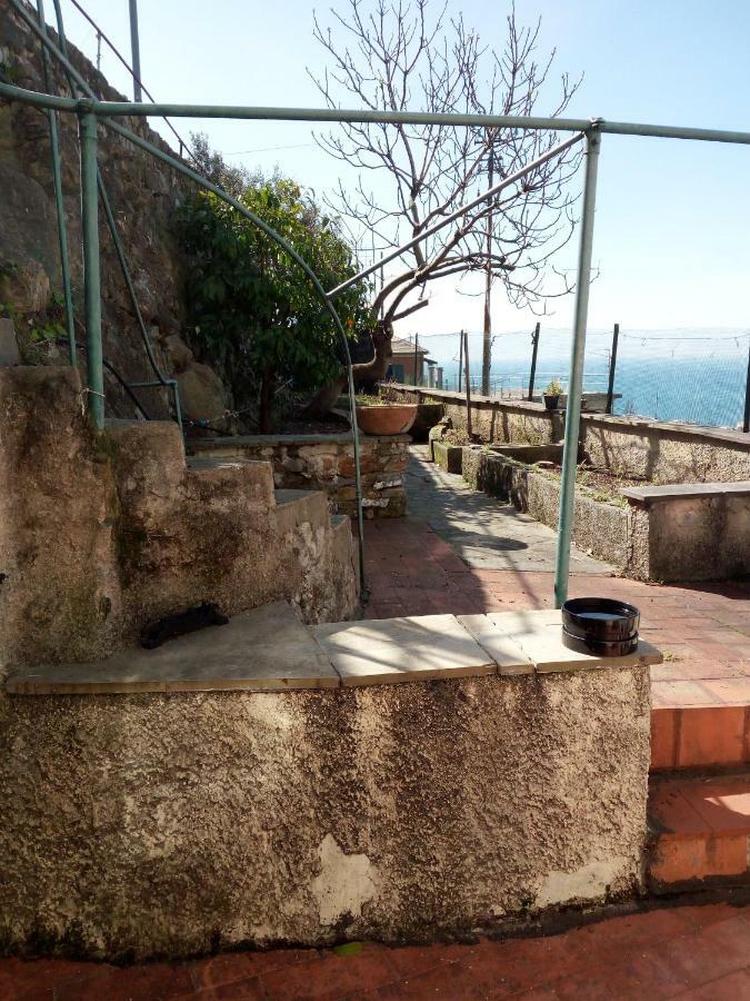 Ferienwohnung Casa Picasso Genua Exterior foto